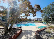 Thumbnail 75 of 78 - a swimming pool with a tree in the middle of it