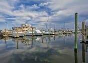 Thumbnail 12 of 47 - a row of boats docked in the water at a marina at The Port at East Beach Apartments and Marina, Virginia, 23518