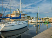 Thumbnail 4 of 47 - a group of boats are docked in a marina at The Port at East Beach Apartments and Marina, Norkfolk, VA