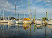 Thumbnail 11 of 47 - a row of boats docked in the water at a marina at The Port at East Beach Apartments and Marina, Virginia
