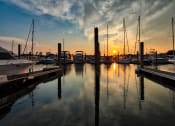Thumbnail 7 of 47 - a harbor filled with boats at sunset at The Port at East Beach Apartments and Marina, Virginia, 23518