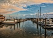 Thumbnail 5 of 47 - a row of boats docked at a harbor at The Port at East Beach Apartments and Marina, Norkfolk