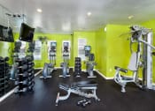 Thumbnail 20 of 32 - a gym with weights and cardio equipment at Addison Crater Woods, Petersburg