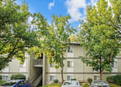 Thumbnail 5 of 13 - A tree with green leaves in front of a building.