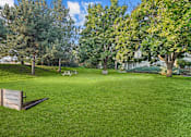 Thumbnail 2 of 13 - A park with a bench and trees.