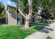 Thumbnail 1 of 18 - A tree in front of a building with a red door.
