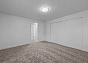 Thumbnail 6 of 15 - A room with a carpeted floor and a ceiling light.