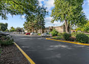 Thumbnail 4 of 15 - A parking lot with cars and trees.
