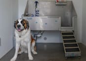 Thumbnail 15 of 22 - Pet Wash Station at Sundance at Baxter Meadows, Bozeman, 59718