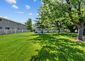 Thumbnail 31 of 34 - A tree stands in a grassy area in front of apartment buildings.