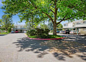Thumbnail 28 of 34 - A tree in a parking lot with a red circle around it.