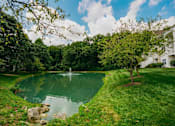 Thumbnail 42 of 61 - A serene garden with a pond and a fountain.