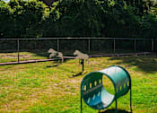Thumbnail 47 of 61 - A green slide in a playground with a fence in the background.