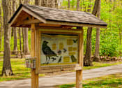 Thumbnail 53 of 61 - A small wooden shelter with a mural of a bear and cubs on it.