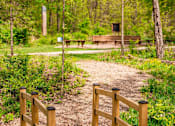 Thumbnail 60 of 61 - A wooden bridge crosses a dirt path in a green forest.