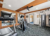 Thumbnail 6 of 42 - A gym with a variety of equipment including treadmills, weights, and a fan.