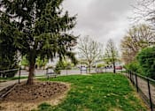 Thumbnail 31 of 42 - A tree in a park with a fence around it.