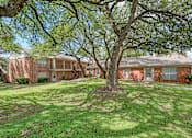 Thumbnail 15 of 18 - A tree in front of a house with a lawn.