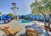 Thumbnail 66 of 71 - A pool area with sun loungers and a tree.