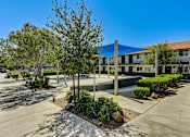 Thumbnail 11 of 28 - A building with a blue awning is surrounded by trees and bushes.