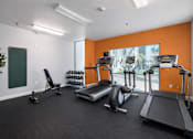 Thumbnail 11 of 14 - A gym with treadmills, elliptical machines, and a plant.