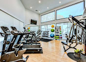 Thumbnail 51 of 56 - A gym with treadmills, exercise bikes, and weights.