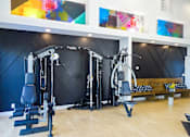 Thumbnail 53 of 56 - A gym with a variety of equipment including a leg press machine, a chest press machine, a lat pulldown machine, a seated calf raise machine, a leg curl machine, a seated leg extension machine, a seated