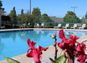 Thumbnail 35 of 35 - our apartments showcase an unique swimming pool
