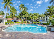 Thumbnail 4 of 29 - A swimming pool surrounded by palm trees and a house.