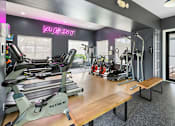 Thumbnail 12 of 29 - A gym with a variety of equipment including treadmills, weights, and exercise machines.