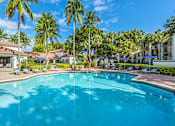 Thumbnail 2 of 29 - A swimming pool surrounded by palm trees and lounge chairs.