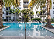 Thumbnail 14 of 33 - A swimming pool surrounded by palm trees and lounge chairs.
