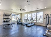 Thumbnail 6 of 51 - A spacious gym with treadmills, elliptical machines, and a weight rack.