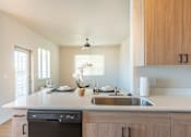 Thumbnail 70 of 82 - A modern kitchen with a dishwasher and sink.