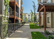 Thumbnail 15 of 51 - A row of townhouses with a sidewalk and greenery at Cascade Place Apartment Homes, Oregon, 97038