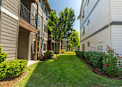 Thumbnail 16 of 36 - A sunny day at a residential area with apartment buildings and greenery at Forestplace Apartment Homes, Forest Grove, 97116