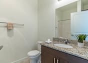 Thumbnail 10 of 72 - A bathroom with a toilet, sink, and mirror at Riverplace Apartment Homes, Independence, Oregon