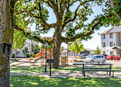 Thumbnail 60 of 72 - A park with a large tree and a bench at Riverplace Apartment Homes, Independence, 97351
