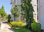 Thumbnail 64 of 72 - A white building with a tree in front of it at Riverplace Apartment Homes, Independence, 97351