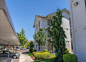 Thumbnail 65 of 72 - A tree in a front yard of a house at Riverplace Apartment Homes, Independence