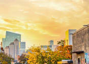 Thumbnail 9 of 16 - A city skyline with buildings and trees in the foreground.