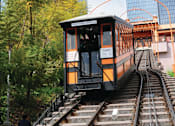 Thumbnail 12 of 18 - A train on tracks in a city with trees.