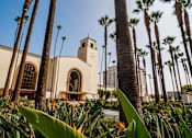 Thumbnail 13 of 18 - Palm trees and a building with a clock tower are in the foreground.