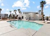 Thumbnail 18 of 23 - A swimming pool in front of a house with a fence and palm trees.