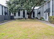 Thumbnail 26 of 34 - A grassy area in front of apartment buildings.