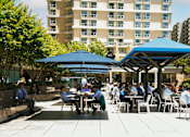 Thumbnail 4 of 18 - People are sitting at tables under blue umbrellas in a courtyard.
