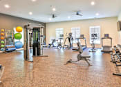 Thumbnail 33 of 33 - A gym with a variety of equipment including treadmills, stationary bikes, and weight machines.
