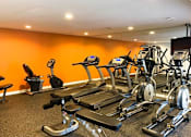 Thumbnail 17 of 17 - Gym at Sienna Ridge, Georgia
