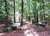 Thumbnail 29 of 33 - Walking Trails at Vinings RiverVue, Atlanta, GA