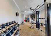 Thumbnail 24 of 26 - Free Weights at Vue on Medlock, Georgia, 30092